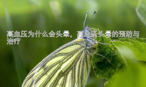 高血压为什么会头晕，高血压头晕的预防与治疗插图