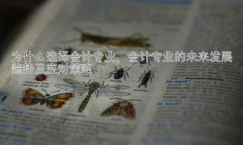 为什么选择会计专业，会计专业的未来发展趋势及应对策略插图