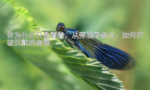 你为什么只是看着，从旁观到参与：如何打破沉默的枷锁插图