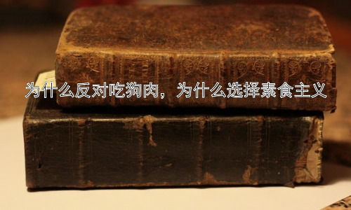 为什么反对吃狗肉，为什么选择素食主义插图