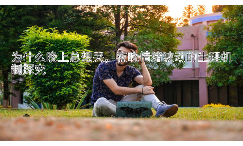 为什么晚上总想哭，夜晚情绪波动的生理机制探究插图