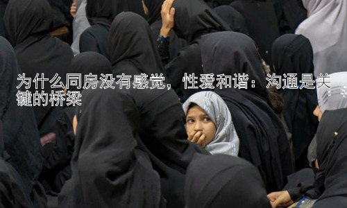 为什么同房没有感觉，性爱和谐：沟通是关键的桥梁插图