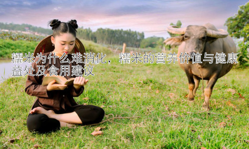 糯米为什么难消化，糯米的营养价值与健康益处及食用建议插图