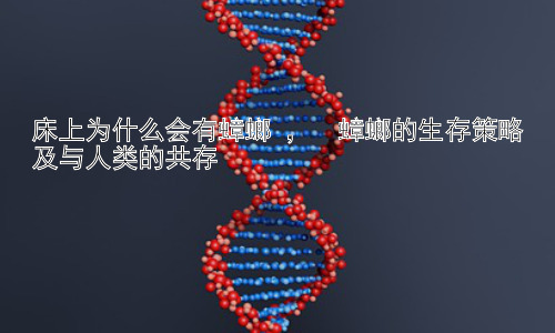 床上为什么会有蟑螂 ，  蟑螂的生存策略及与人类的共存插图