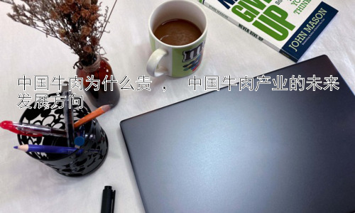 中国牛肉为什么贵 ， 中国牛肉产业的未来发展方向插图