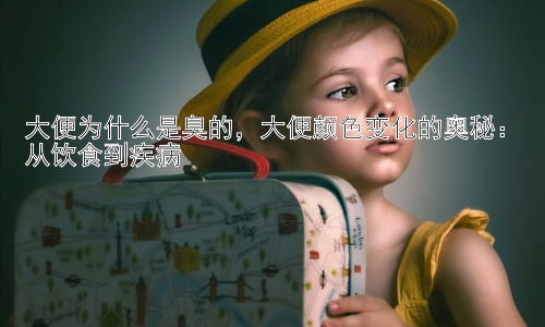 大便为什么是臭的，大便颜色变化的奥秘：从饮食到疾病插图