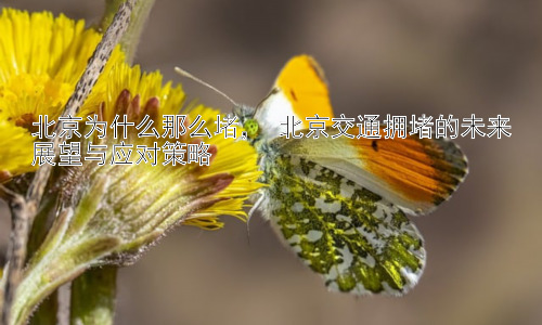北京为什么那么堵， 北京交通拥堵的未来展望与应对策略插图