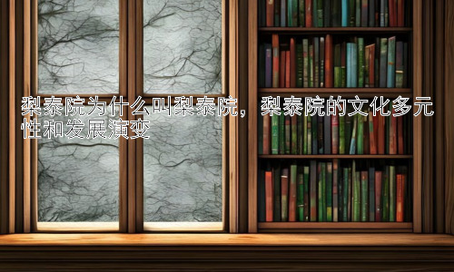 梨泰院为什么叫梨泰院，梨泰院的文化多元性和发展演变插图