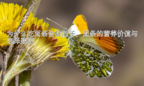 为什么吃面条会拉肚子，面条的营养价值与选择建议插图