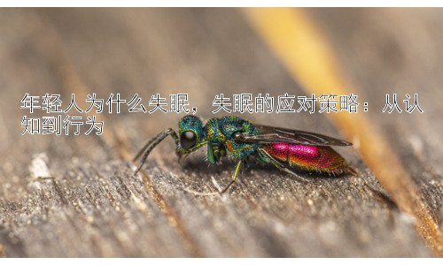 年轻人为什么失眠，失眠的应对策略：从认知到行为插图