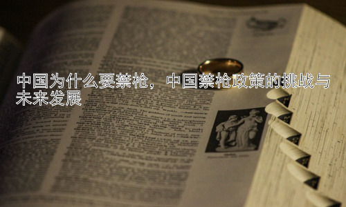 中国为什么要禁枪，中国禁枪政策的挑战与未来发展插图