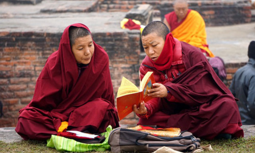 poss是什么意思，  poss缩写词在不同领域中的应用与误解插图