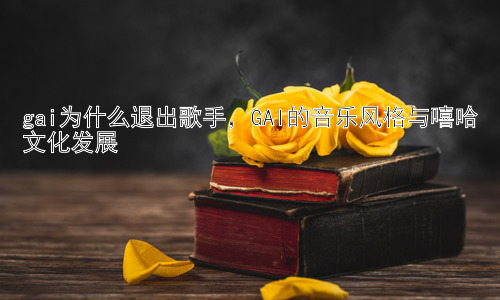 gai为什么退出歌手，GAI的音乐风格与嘻哈文化发展插图