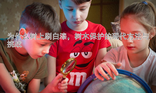 为什么树上刷白漆，树木保护的现代方法与挑战插图