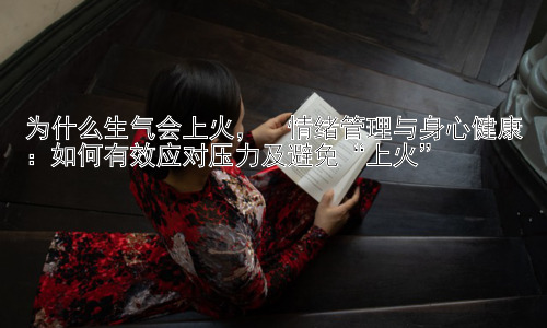 为什么生气会上火，  情绪管理与身心健康：如何有效应对压力及避免“上火”插图