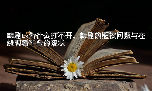 韩剧tv为什么打不开，韩剧的版权问题与在线观看平台的现状插图