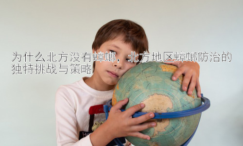 为什么北方没有蟑螂，北方地区蟑螂防治的独特挑战与策略插图