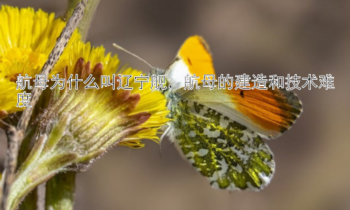 航母为什么叫辽宁舰，航母的建造和技术难度插图