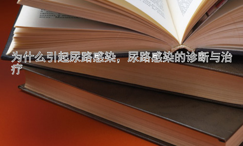 为什么引起尿路感染，尿路感染的诊断与治疗插图