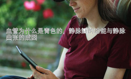 血管为什么是青色的，静脉瓣的功能与静脉曲张的成因插图