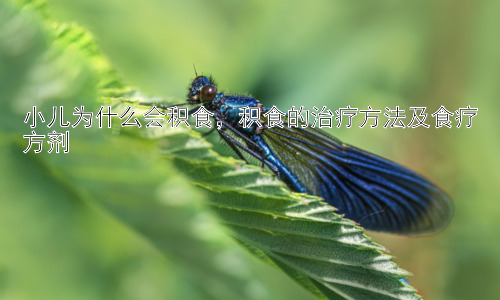 小儿为什么会积食，积食的治疗方法及食疗方剂插图