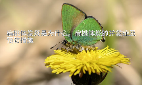 扁桃体发炎是为什么，扁桃体炎的并发症及预防措施插图