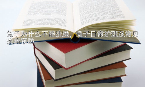 兔子为什么不能洗澡，兔子日常护理及常见疾病预防插图