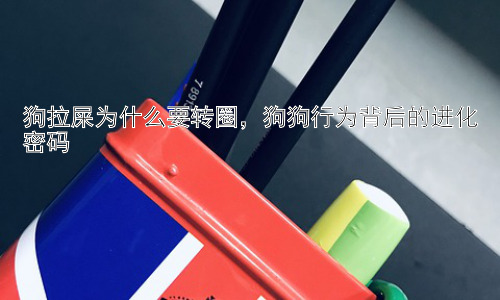狗拉屎为什么要转圈，狗狗行为背后的进化密码插图
