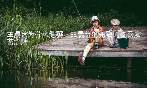 王晨艺为什么退赛，王晨艺的舞蹈风格及演艺之路插图