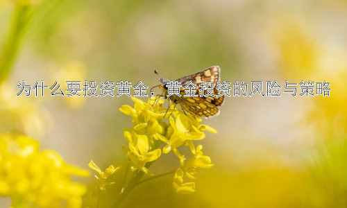 为什么要投资黄金，黄金投资的风险与策略插图
