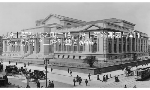 哈士奇为什么叫二哈，哈士奇的基因与驯化史：解开“二哈”基因密码插图