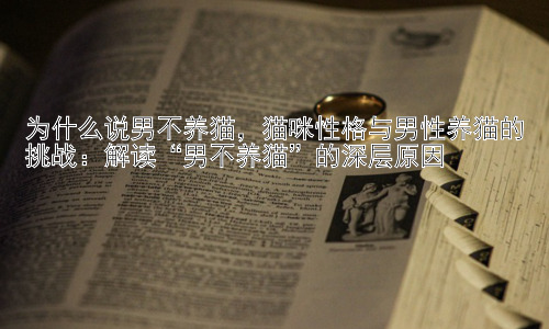 为什么说男不养猫，猫咪性格与男性养猫的挑战：解读“男不养猫”的深层原因插图