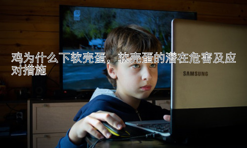 鸡为什么下软壳蛋，软壳蛋的潜在危害及应对措施插图