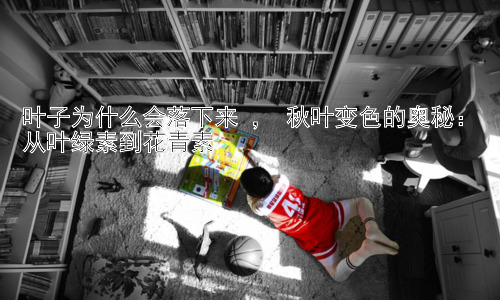 叶子为什么会落下来 ， 秋叶变色的奥秘：从叶绿素到花青素插图
