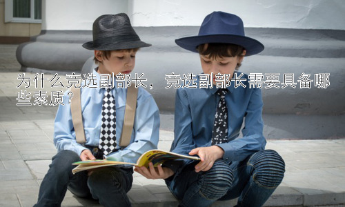 为什么竞选副部长，竞选副部长需要具备哪些素质？插图