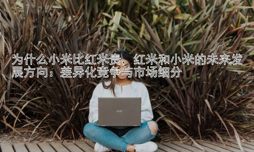 为什么小米比红米贵，红米和小米的未来发展方向：差异化竞争与市场细分插图