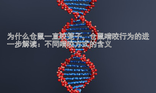 为什么仓鼠一直咬笼子，仓鼠啃咬行为的进一步解读：不同啃咬方式的含义插图