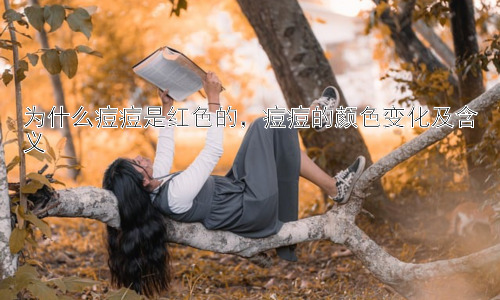 为什么痘痘是红色的，痘痘的颜色变化及含义插图