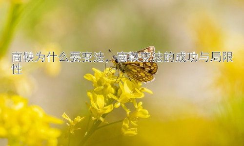 商鞅为什么要变法，商鞅变法的成功与局限性插图