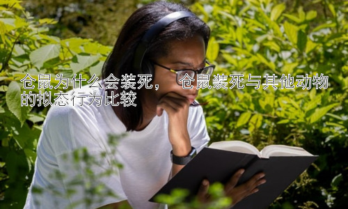 仓鼠为什么会装死， 仓鼠装死与其他动物的拟态行为比较插图