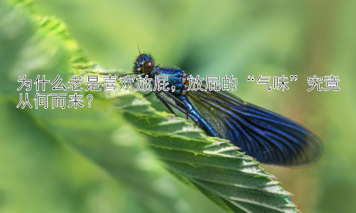 为什么老是喜欢放屁，放屁的“气味”究竟从何而来？插图