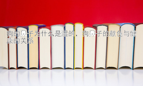狗的鼻子为什么是湿的，狗鼻子的颜色与健康的关系插图