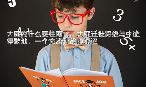 大雁为什么要往南飞，大雁迁徙路线与中途停歇地：一个充满挑战的旅程插图