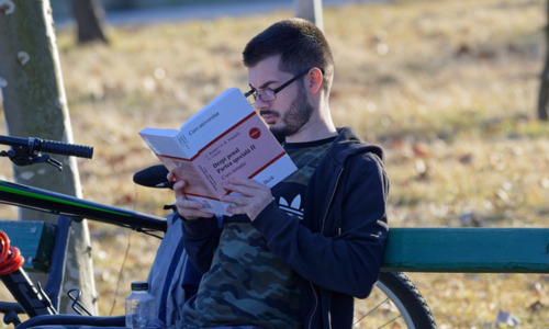 大雁为什么要往南飞，大雁迁徙路线与中途停歇地：一个充满挑战的旅程插图1