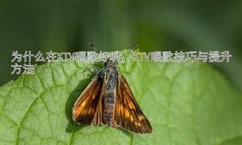为什么在KTV唱歌好听，KTV唱歌技巧与提升方法插图