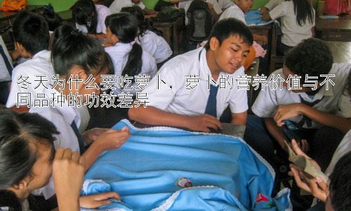 冬天为什么要吃萝卜，萝卜的营养价值与不同品种的功效差异插图