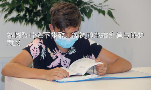 槐树为什么不能砍，槐树的生态价值与保护意义插图