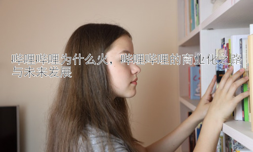 哔哩哔哩为什么火，哔哩哔哩的商业化之路与未来发展插图