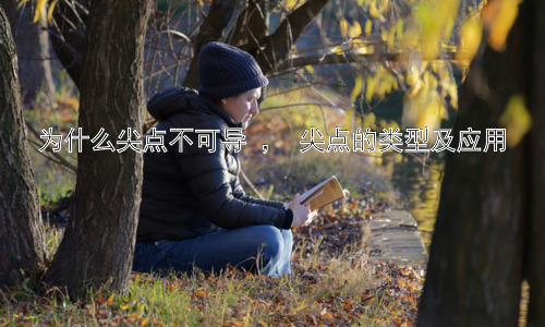 为什么尖点不可导 ， 尖点的类型及应用插图