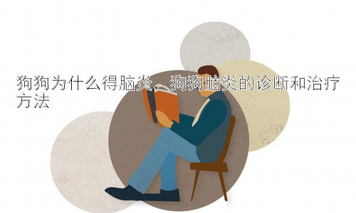 狗狗为什么得脑炎，狗狗脑炎的诊断和治疗方法插图